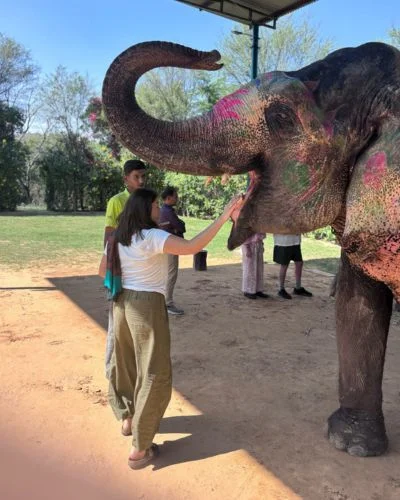 elephent safari in india