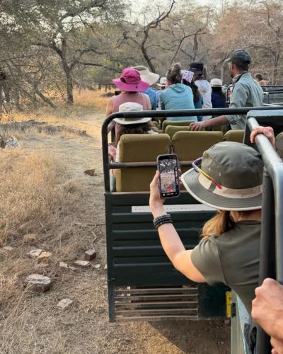 tiger safari in ranthambore